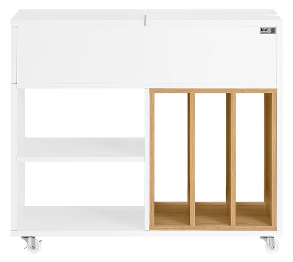 Ormar za dokumente 30x61x70 cm