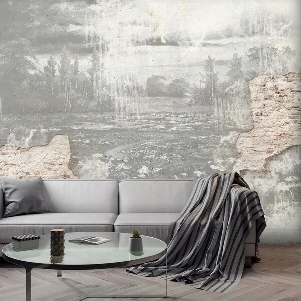 Foto tapeta - Livada u betonskom zidu - crno-bijela (147x102 cm)