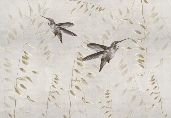 Foto tapeta - Kolibri, vektor (147x102 cm)