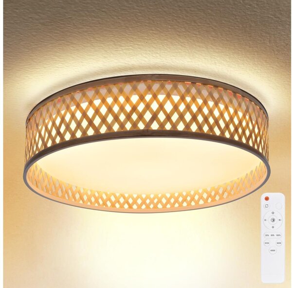 Brilagi - LED Prigušiva stropna svjetiljka CAMILA LED/48W/230V 3000-6500K + DU