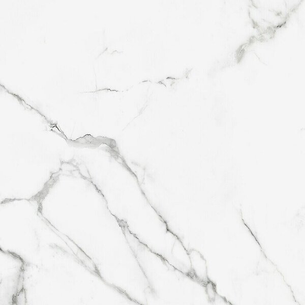 Porculanska pločica Calacatta Silk Marble (61 x 61 cm, Siva, Svilenkasti sjaj)