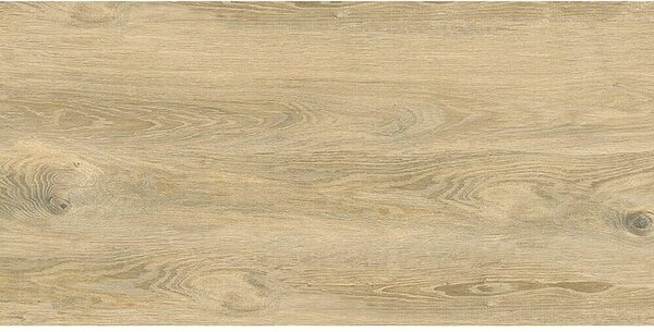 Cersanit Porculanska pločica Perfect Wood (D x Š: 60 x 120 cm, Svijetlo smeđa)