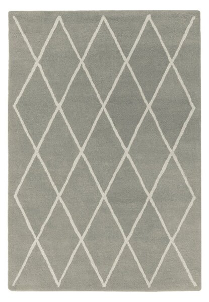 Sivi ručno rađen vunen tepih 200x290 cm Albany – Asiatic Carpets
