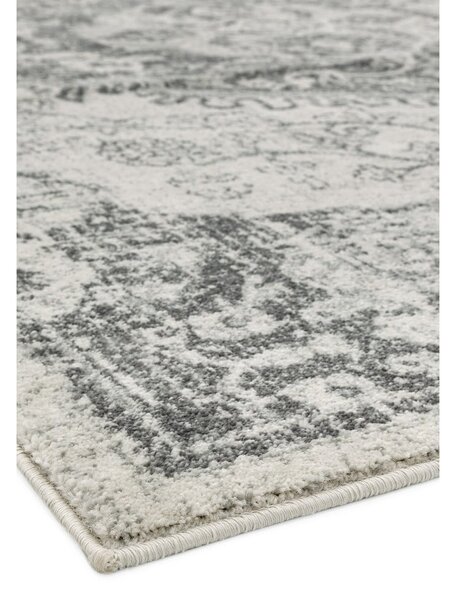 Sivi/krem tepih 160x230 cm Nova – Asiatic Carpets
