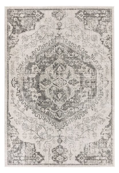 Sivi/krem tepih 160x230 cm Nova – Asiatic Carpets