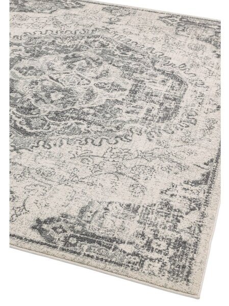 Sivi/krem tepih 160x230 cm Nova – Asiatic Carpets
