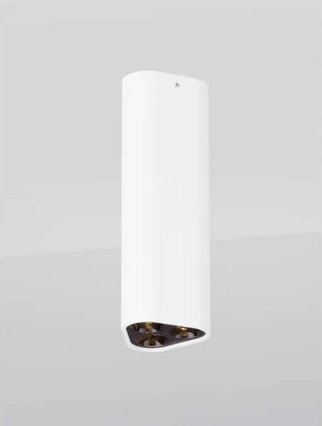 ETHO STROPNA SVJETILJKA LED /3000K/6W/454Lm/BIJELO-CRNA NL9695102