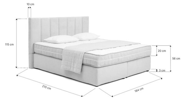 Bež boxspring krevet 160x200 cm Olia Bold Line – Bonami Selection