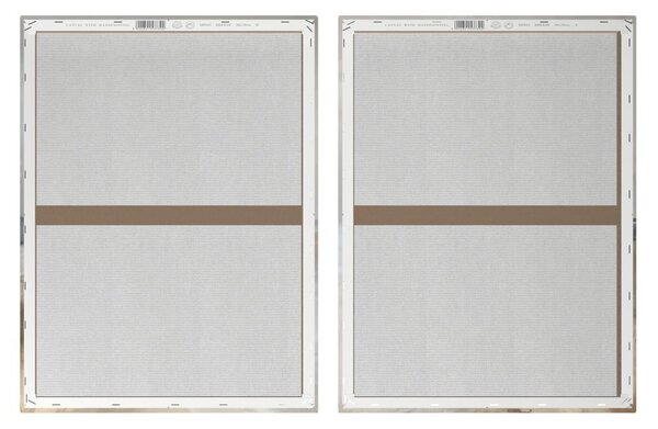 Slike s ručno oslikanim elementima u setu od 2 komada 50x70 cm Breeze – Styler