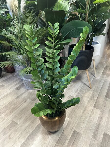 Umjetna zamija 110 cm (Zamioculcas) - 51 - 70 cm