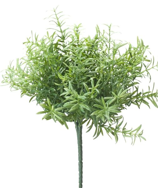 Umjetni ružmarin 22 cm - 0 - 30cm