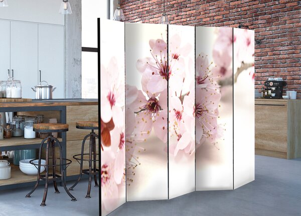 Paravan - Cherry Blossom II