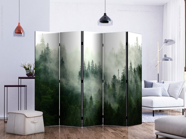 Paravan - Coniferous Forest II