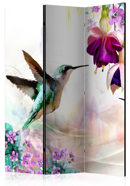 Paravan - Hummingbirds and Flowers