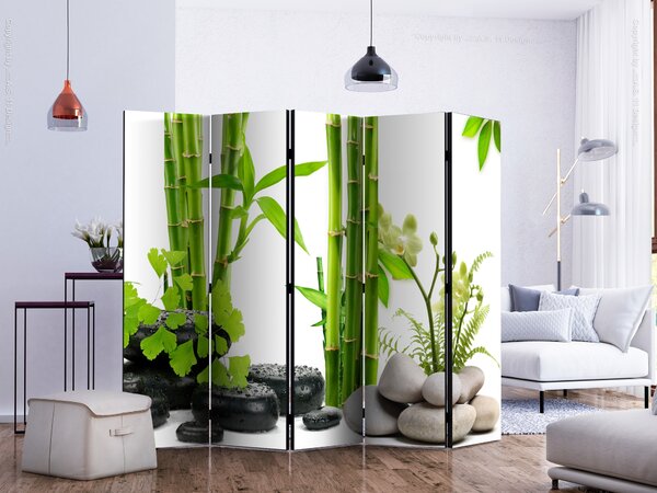 Paravan - Bamboos and Stones II