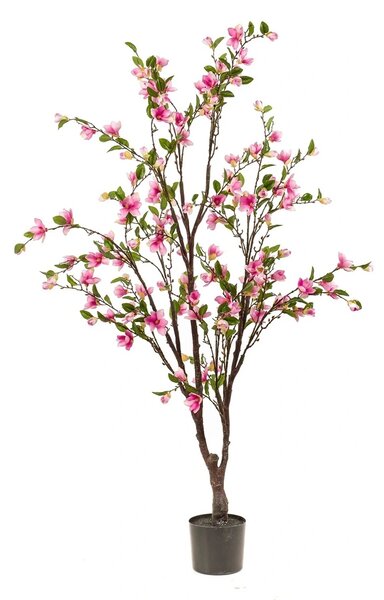 Umjetna magnolija 170cm - 151 - 180 cm