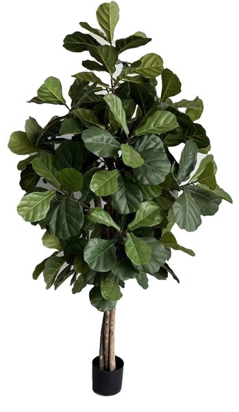 Umjetni Ficus Lyrata 180 cm Home - 151 - 180 cm