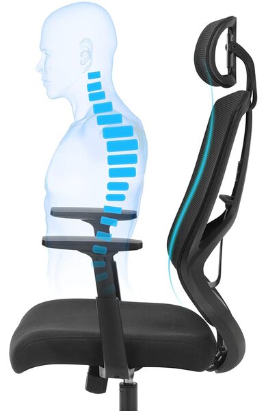 Ergonomska uredska stolica s lumbalnom potporom, crna