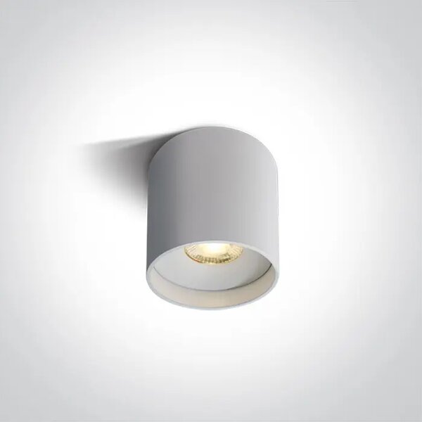 STROPNA BIJELA LED SVJETILJKA 8W CCT IP20 230V DM12108C/W/V