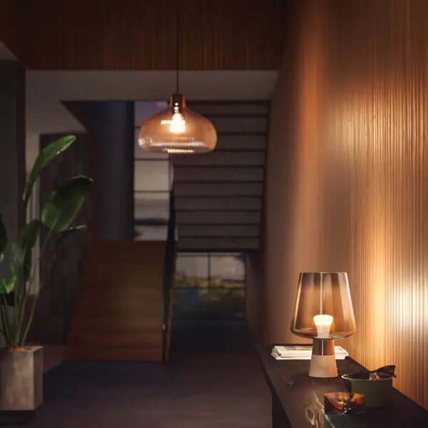 Philips Hue LED ŽARULJA 9W A60 E27 60W 8719514329843