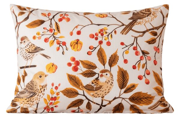 Jastučnica od mikrovlakana BIRDS PUMPKIN 50x70 cm, smeđa