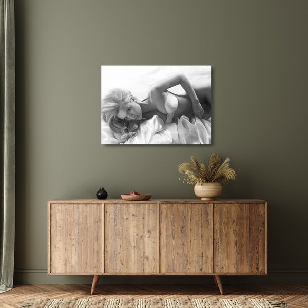Staklena slika - Črno-beli boudoir (70x50 cm)