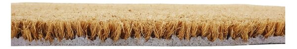 Otirač od kokosovih vlakana 40x60 cm Half Moon – Artsy Doormats