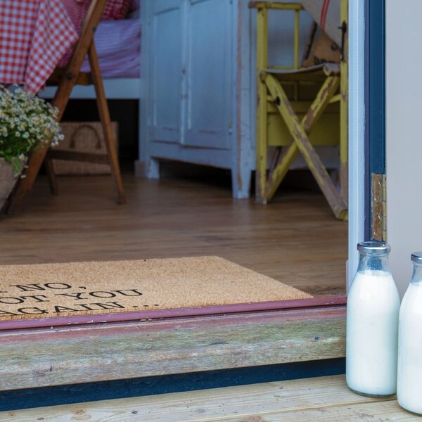 Otirač od kokosovih vlakana 40x60 cm Oh No Not You Again – Artsy Doormats