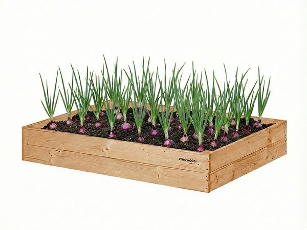 ATMOWOOD Povišena gredica od ariša 120 x 80 x 20 cm