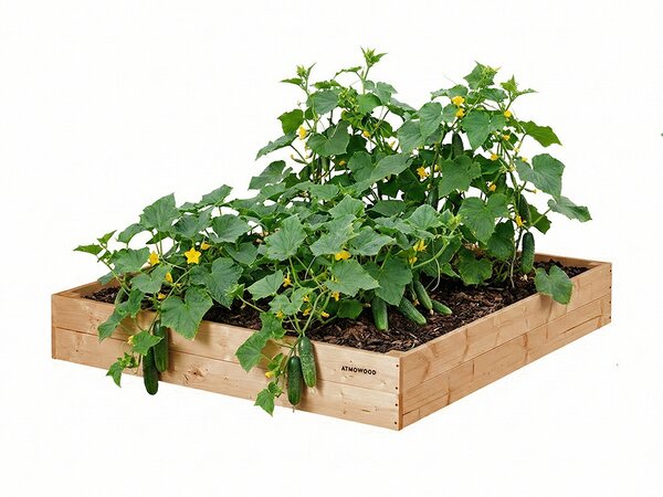 ATMOWOOD Povišena gredica od ariša 120 x 120 x 20 cm