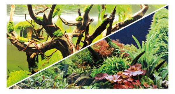 Dohse Hobby poster dvostrani Green Secret/Wood Island 60x30 cm