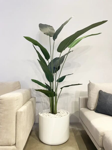 Umjetna strelicija 210 cm - 14 grana - 201 - 230 cm