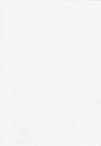 Samoljepljiva folija za vrata Bijelo drvo Memphis 99-6275 | 2,1 m x 90 cm