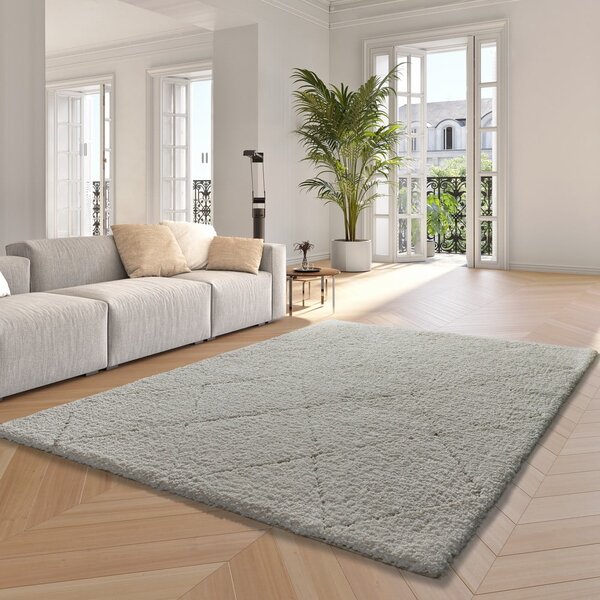 Bijeli tepih 160x230 cm Atesa – Universal