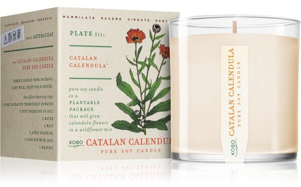 KOBO Plant The Box Catalan Calendula mirisna svijeća 283 g