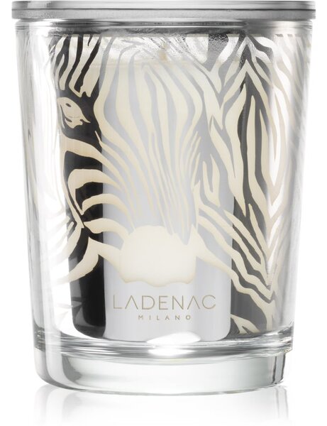 Ladenac Africa Zebra Camouflage mirisna svijeća 70 g