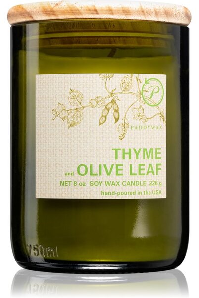 Paddywax Eco Green Thyme & Olive Leaf mirisna svijeća 226 g