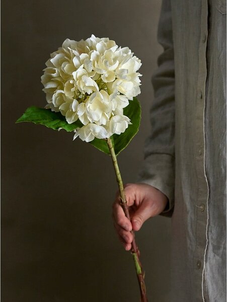 Umjetna biljka (visina 56 cm) Hydrangea – Bloomingville