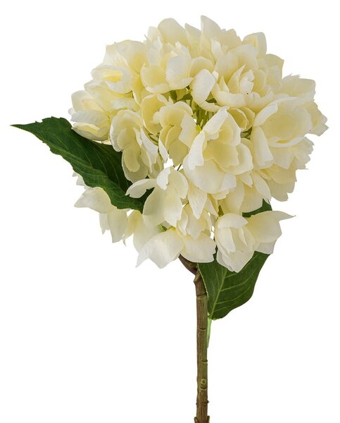Umjetna biljka (visina 56 cm) Hydrangea – Bloomingville