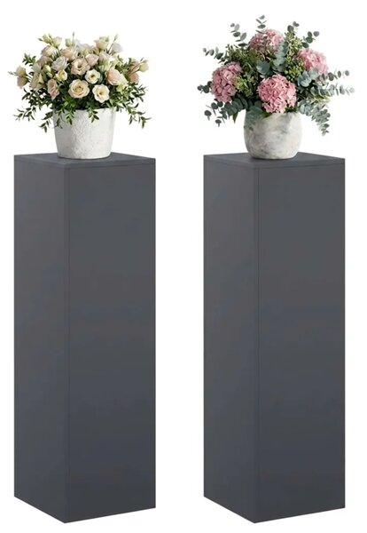 Stalak za biljke 2 pcs Antracit 30 x 30 x 100 cm - Antracit 2x (30 x 30 x 100 cm)