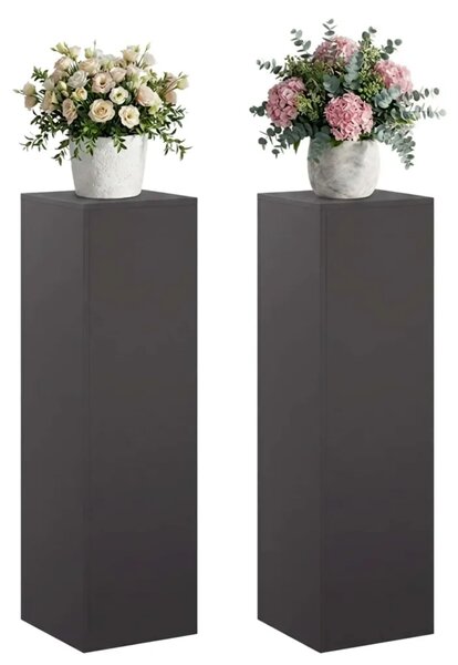 Stalak za biljke 2 pcs Crna 30 x 30 x 100 cm Čelik - Crna 2x (30 x 30 x 100 cm)