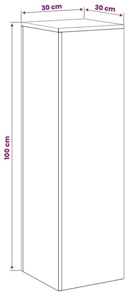 Stalak za biljke 2 pcs Antracit 30 x 30 x 100 cm - Antracit 2x (30 x 30 x 100 cm)