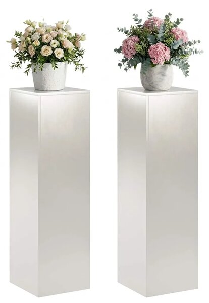Stalak za biljke 2 pcs Srebrna 30 x 30 x 100 cm Čelik - Nehrđajući čelik 2x (30 x 30 x 100 cm)