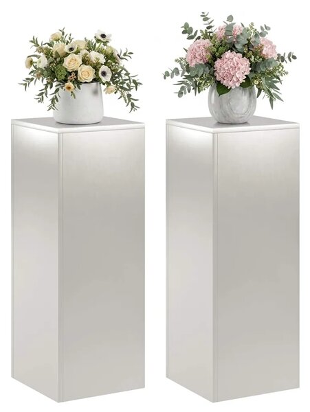 Stalak za biljke 2 pcs Srebrna 30 x 30 x 80 cm Čelik - Nehrđajući čelik 2x (30 x 30 x 80 cm)