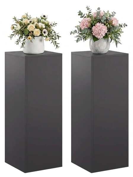 Stalak za biljke 2 pcs Crna 30 x 30 x 80 cm Čelik - Crna 2x (30 x 30 x 80 cm)