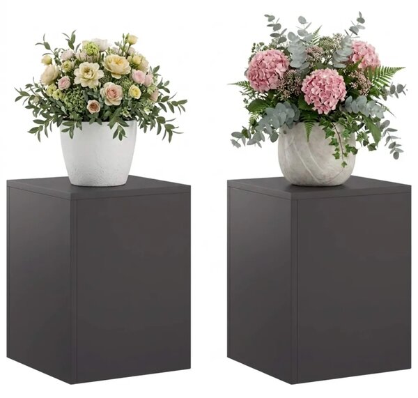 Stalak za biljke 2 pcs Crna 30 x 30 x 40 cm Čelik - Crna 2x (30 x 30 x 40 cm)