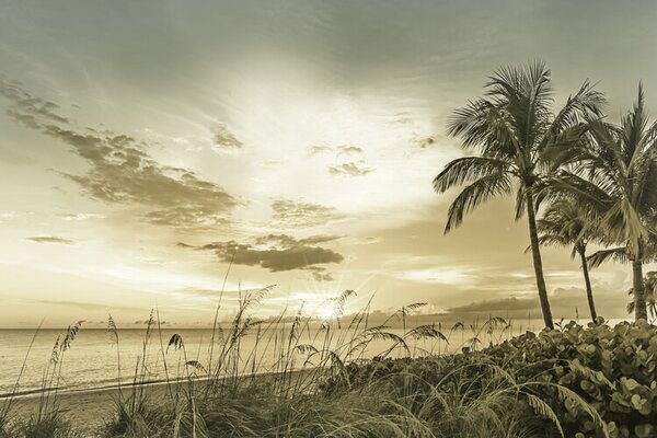 Umjetnička fotografija BONITA BEACH Sunset | Vintage, Melanie Viola, (40 x 26.7 cm)