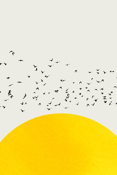Ilustracija A Thousand Birds, Kubistika, (26.7 x 40 cm)