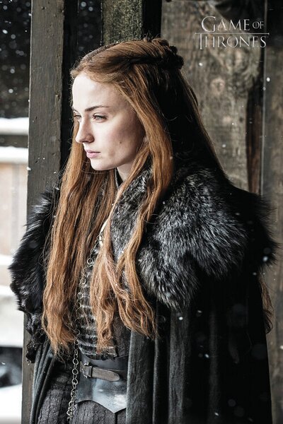 Umjetnički plakat Igra prijestolja - Sansa Stark, (26.7 x 40 cm)