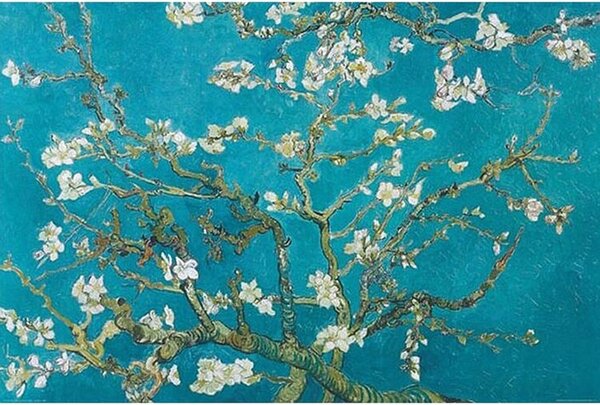 Poster Cvjetovi badema, (91.5 x 61 cm)